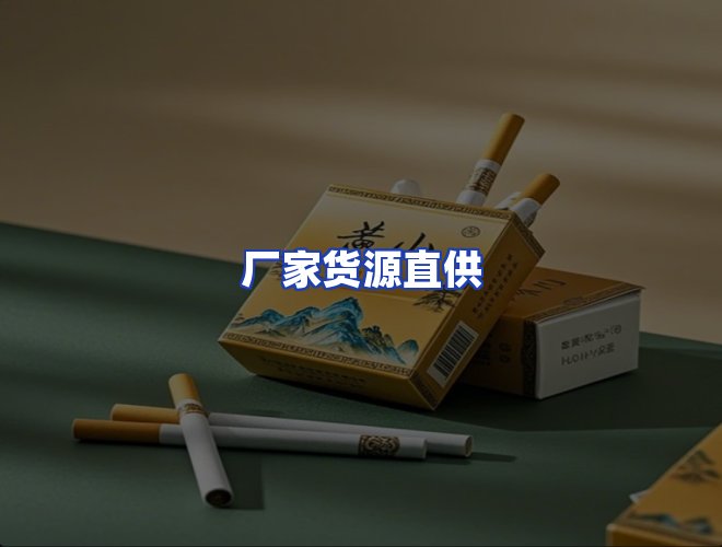 专业团队